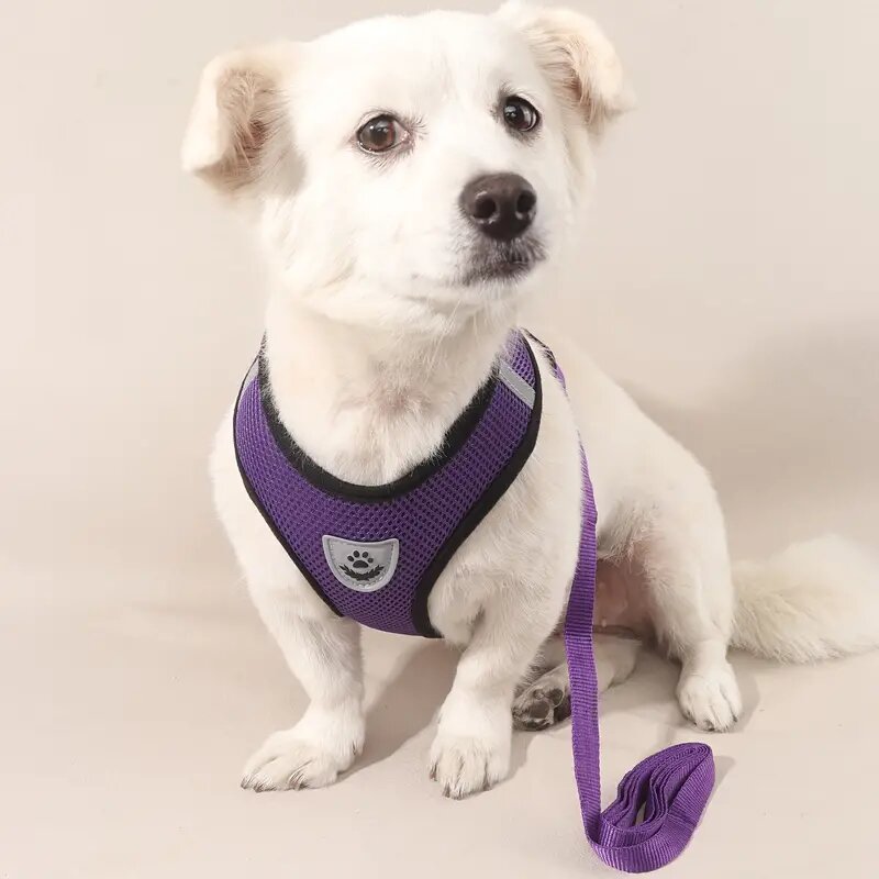 Secure Fit Dog Harness