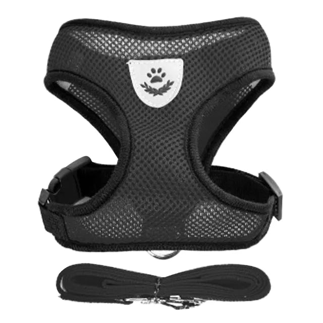 Puppy Harness Quick Release