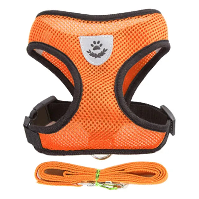 Best Harness for Small Dogs