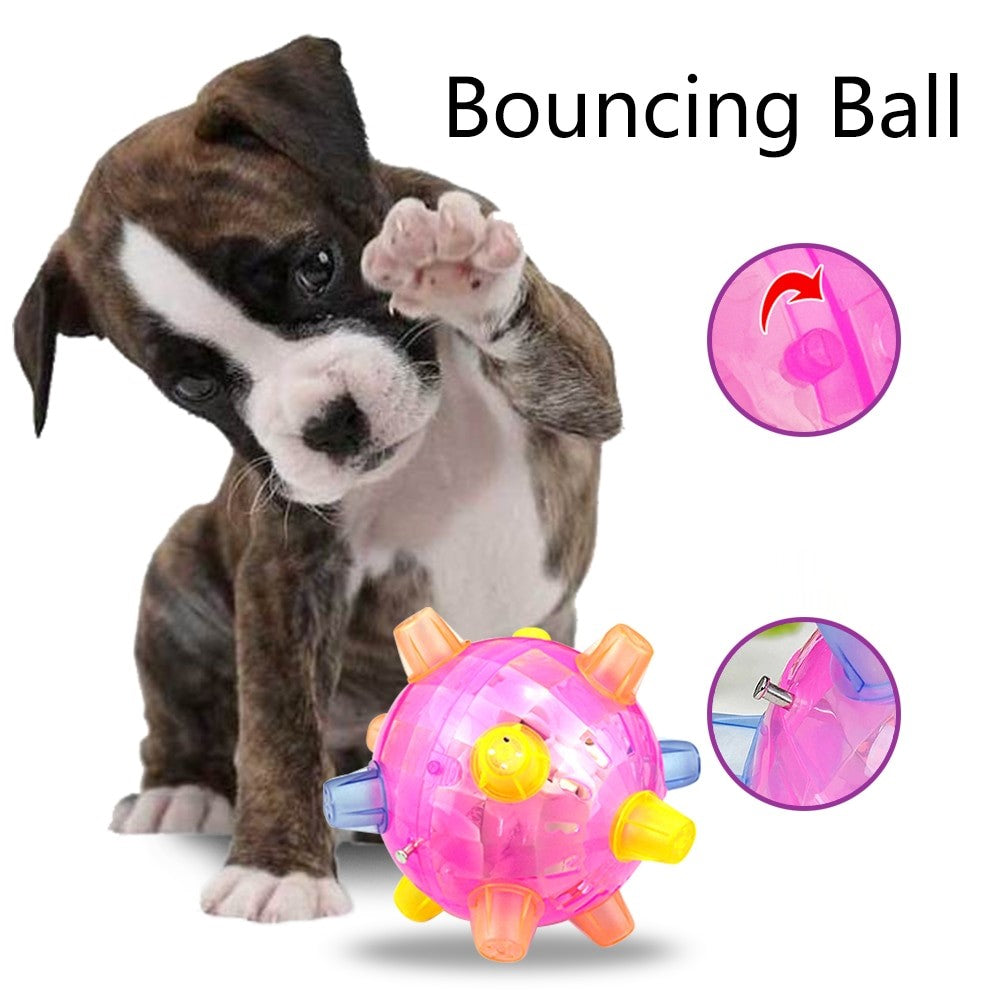 Flashing ball for dog exercise