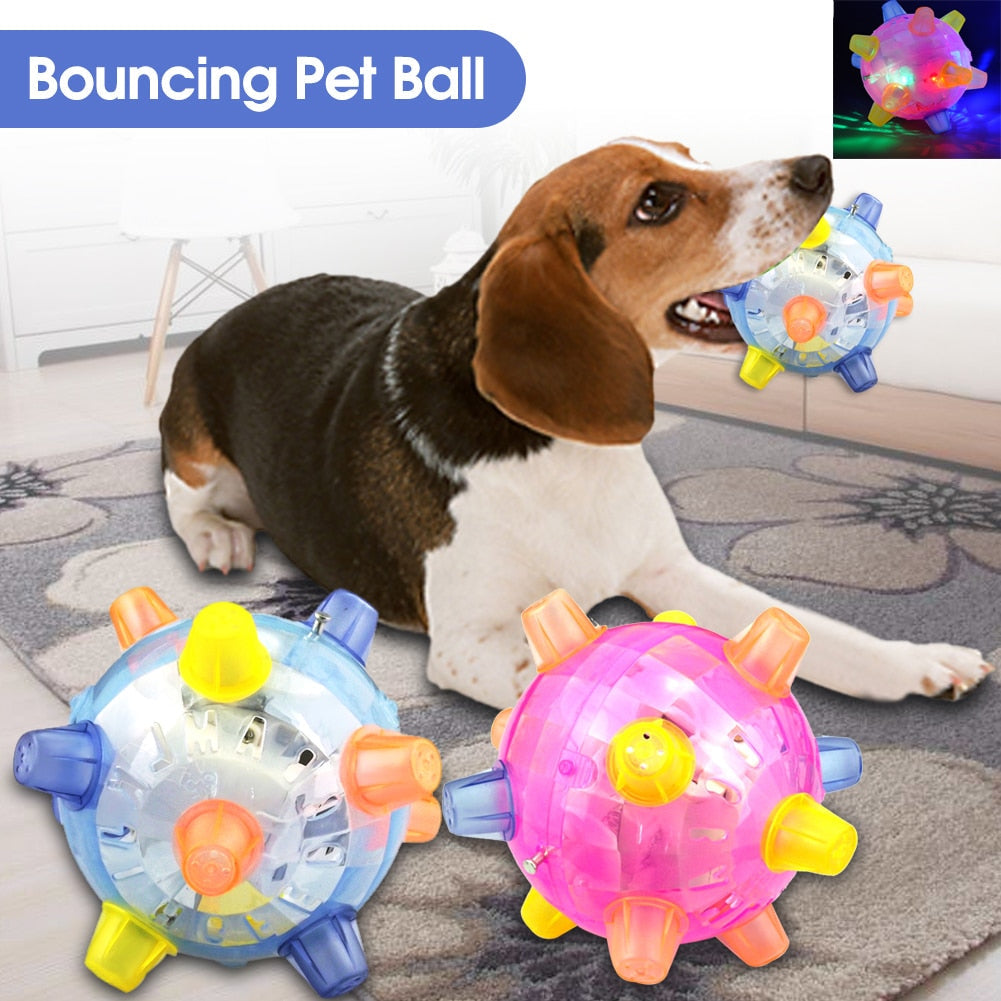 LED dog ball for playtime