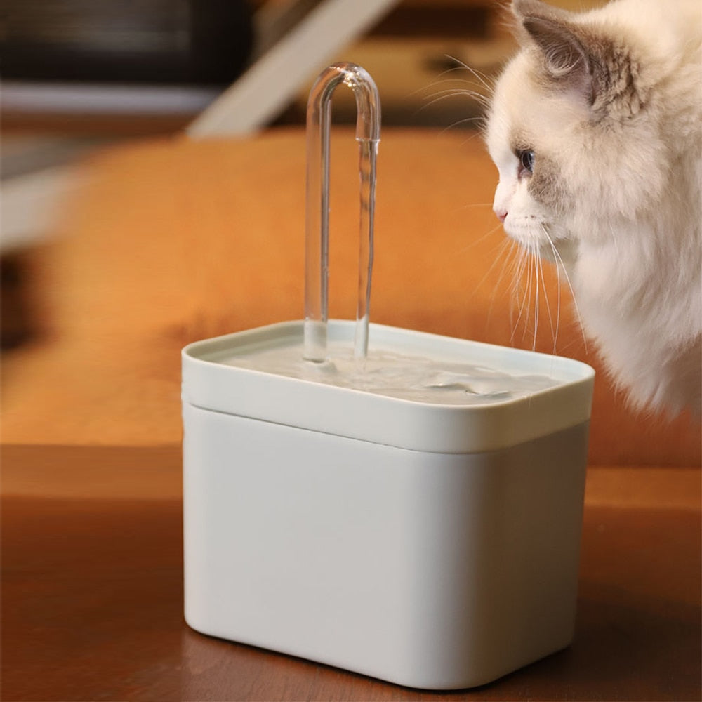Pet Water Fountain Automatic Filter Dispenser PiBi Electronics & Home Accessories