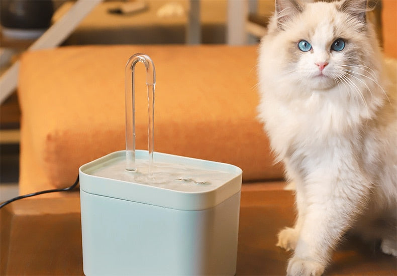 Pet Water Fountain Automatic Filter Dispenser PiBi Electronics & Home Accessories