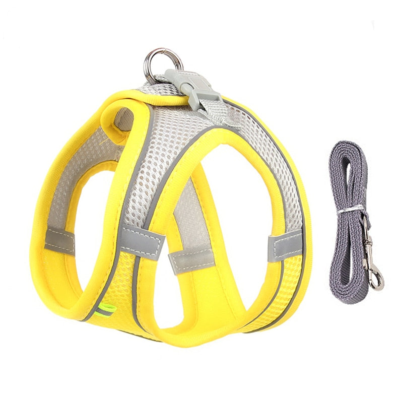 Comfortable harness for hiking dogs