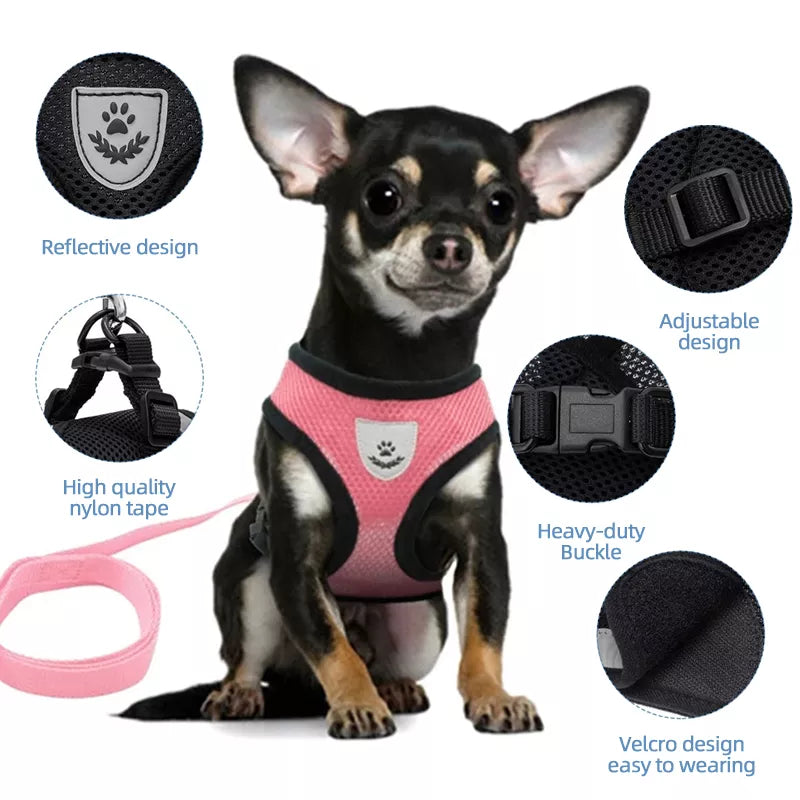 Mesh Dog Harness for Small Breeds