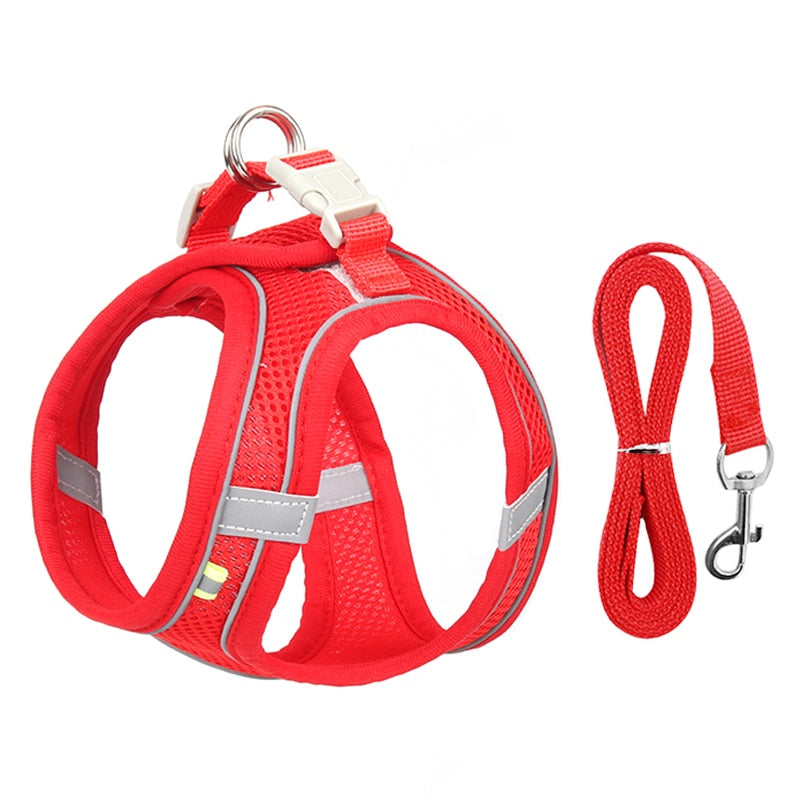 Secure dog harness and lead combo