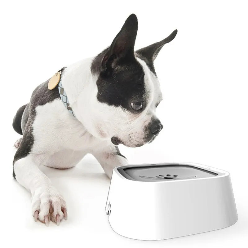 Premium Anti-Skid Dog Bowl for Mess-Free Meals