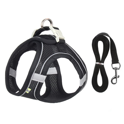 Premium leash for active dogs