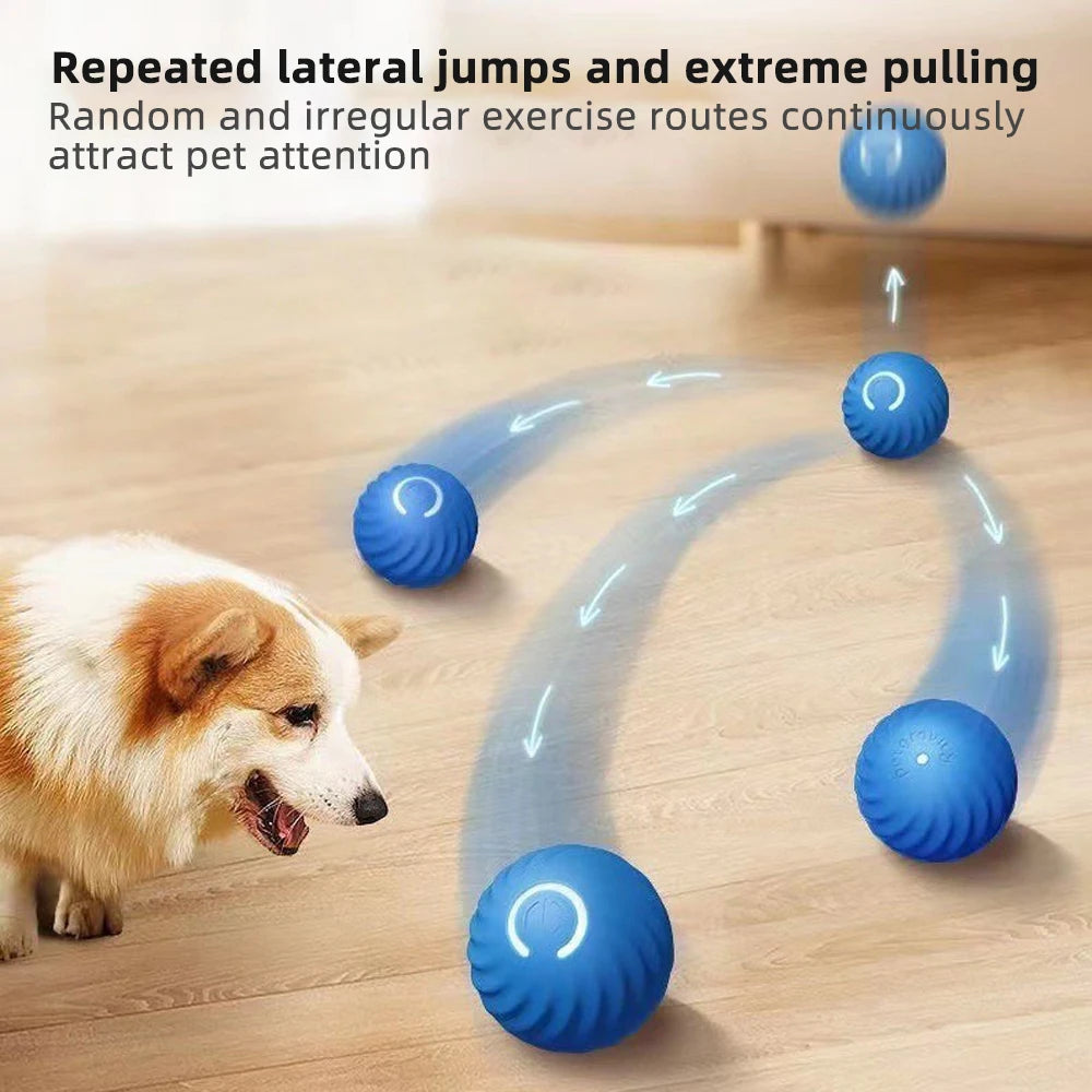 Dog-biting durable pet ball toy