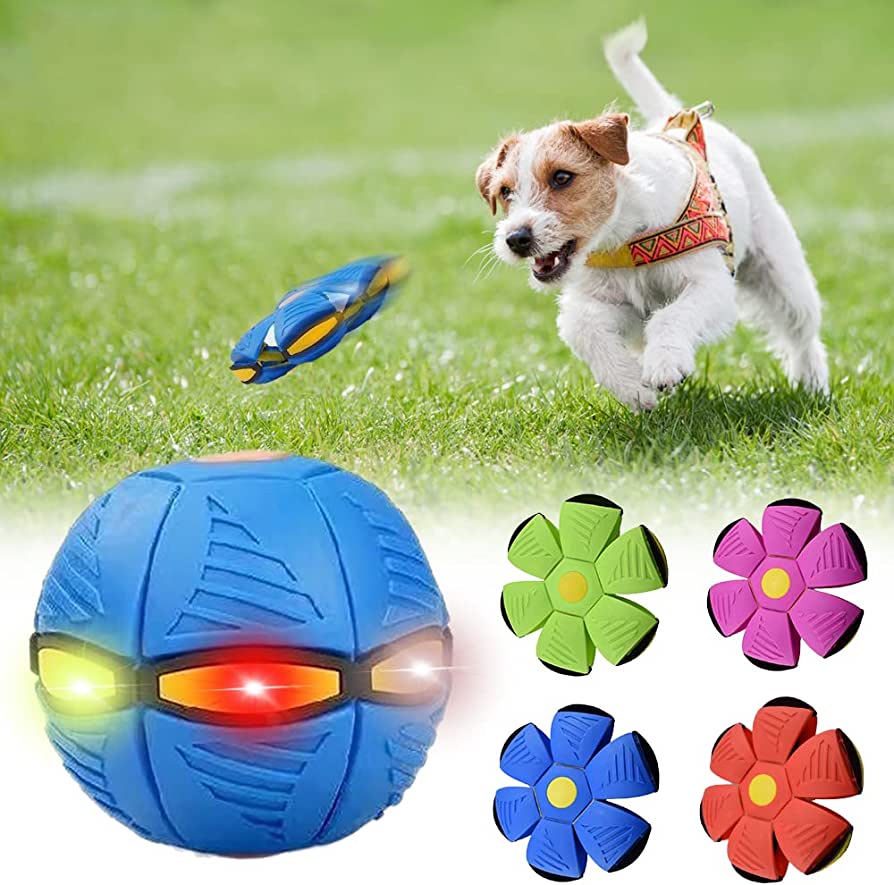 Share Smiles Outdoors LED Dog Toy UFO Flat Throw Disc