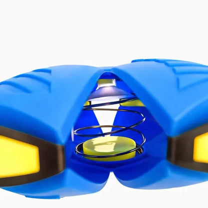 Light-up dog toy for fun