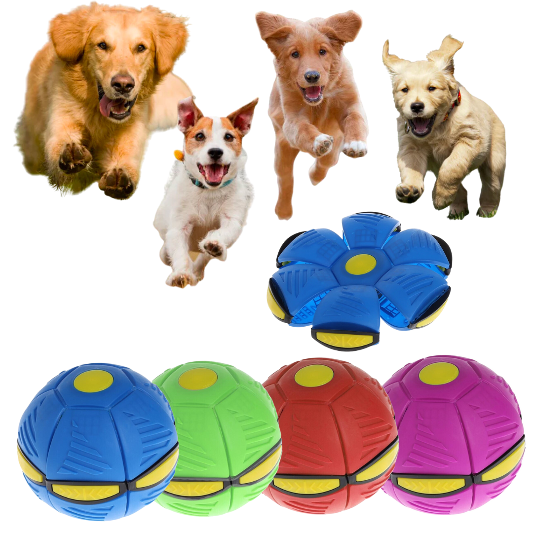 UFO flat throw disc for dogs